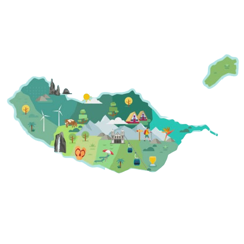 Servicos SEO WEB e marketing digital na ilha da madeira